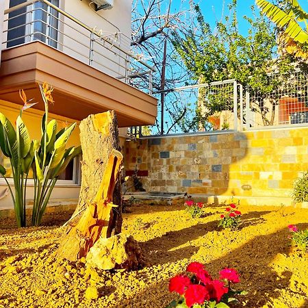 Glaros Beach Apartment Kato Daratso Zewnętrze zdjęcie