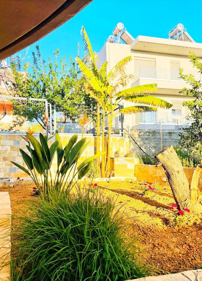 Glaros Beach Apartment Kato Daratso Zewnętrze zdjęcie